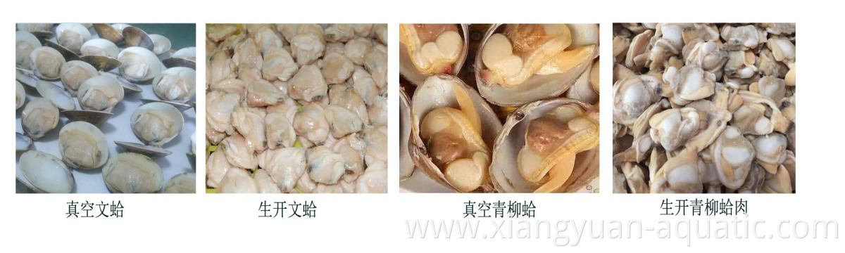 black mussels canned mussel meat